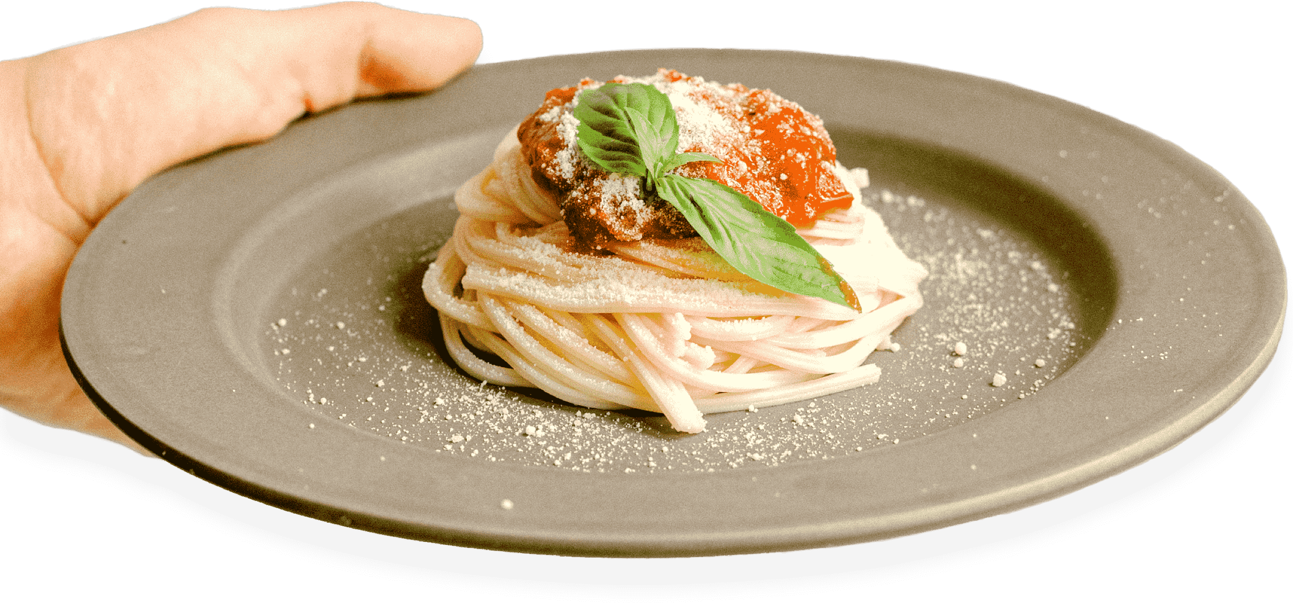 A hand holding a plate of spaghetti and mince